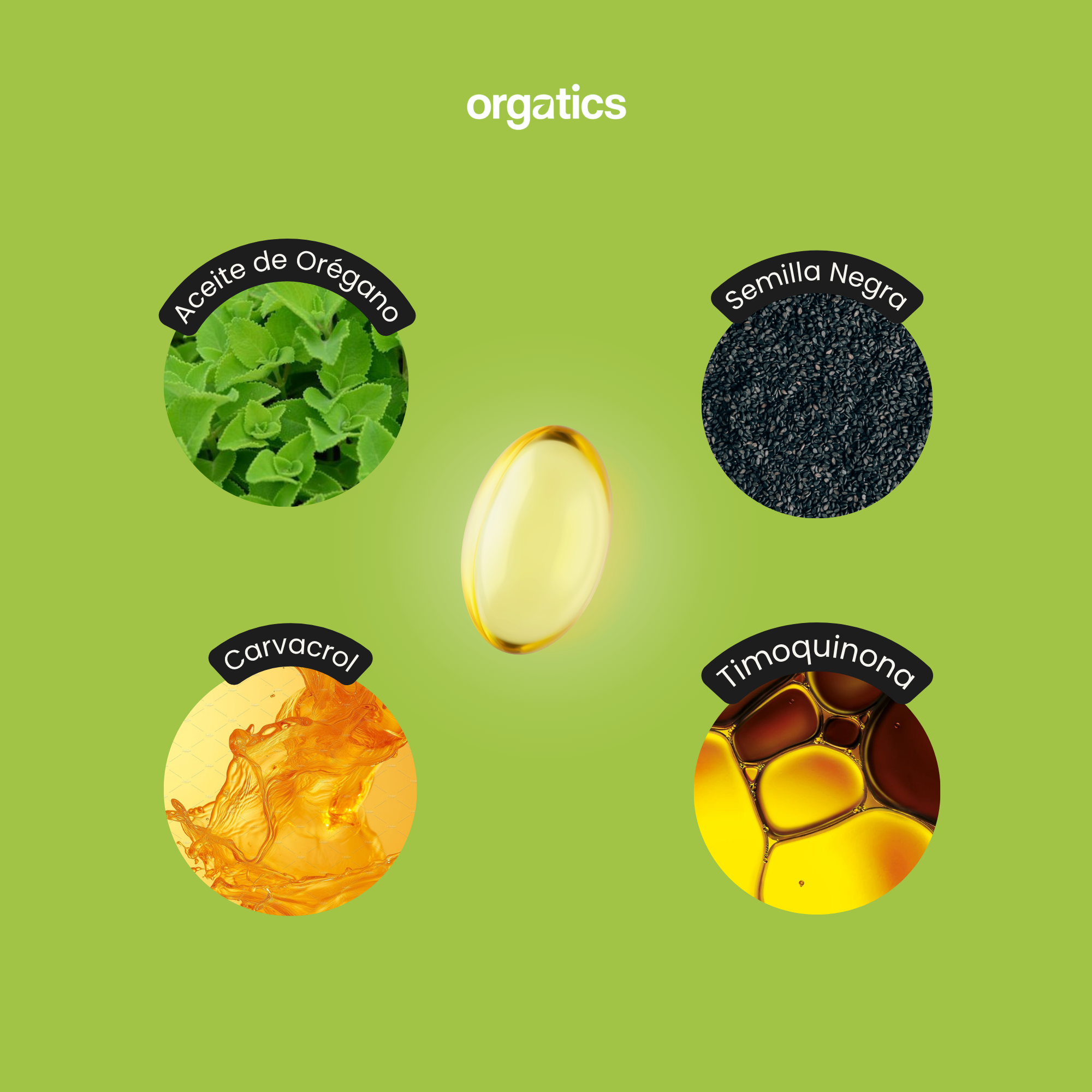 Cápsulas Aceite de Orégano