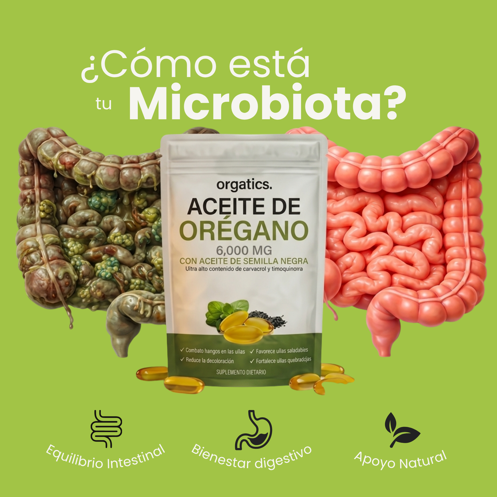 Cápsulas Aceite de Orégano
